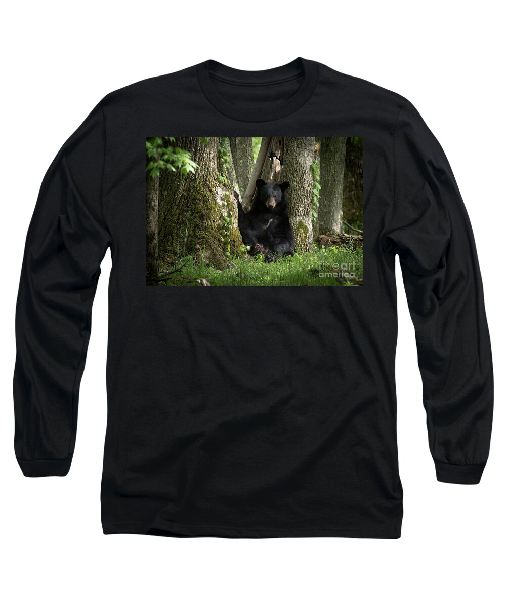 Cades Long Sleeve T-Shirt featuring the photograph Cades Cove Bear by Douglas Stucky