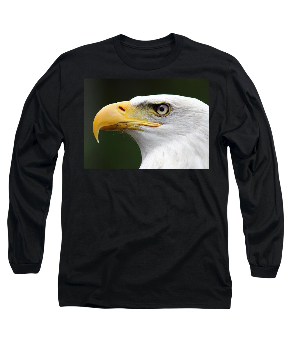 Bald Eagle Long Sleeve T-Shirt featuring the photograph Canadian Bald Eagle by Randy Hall