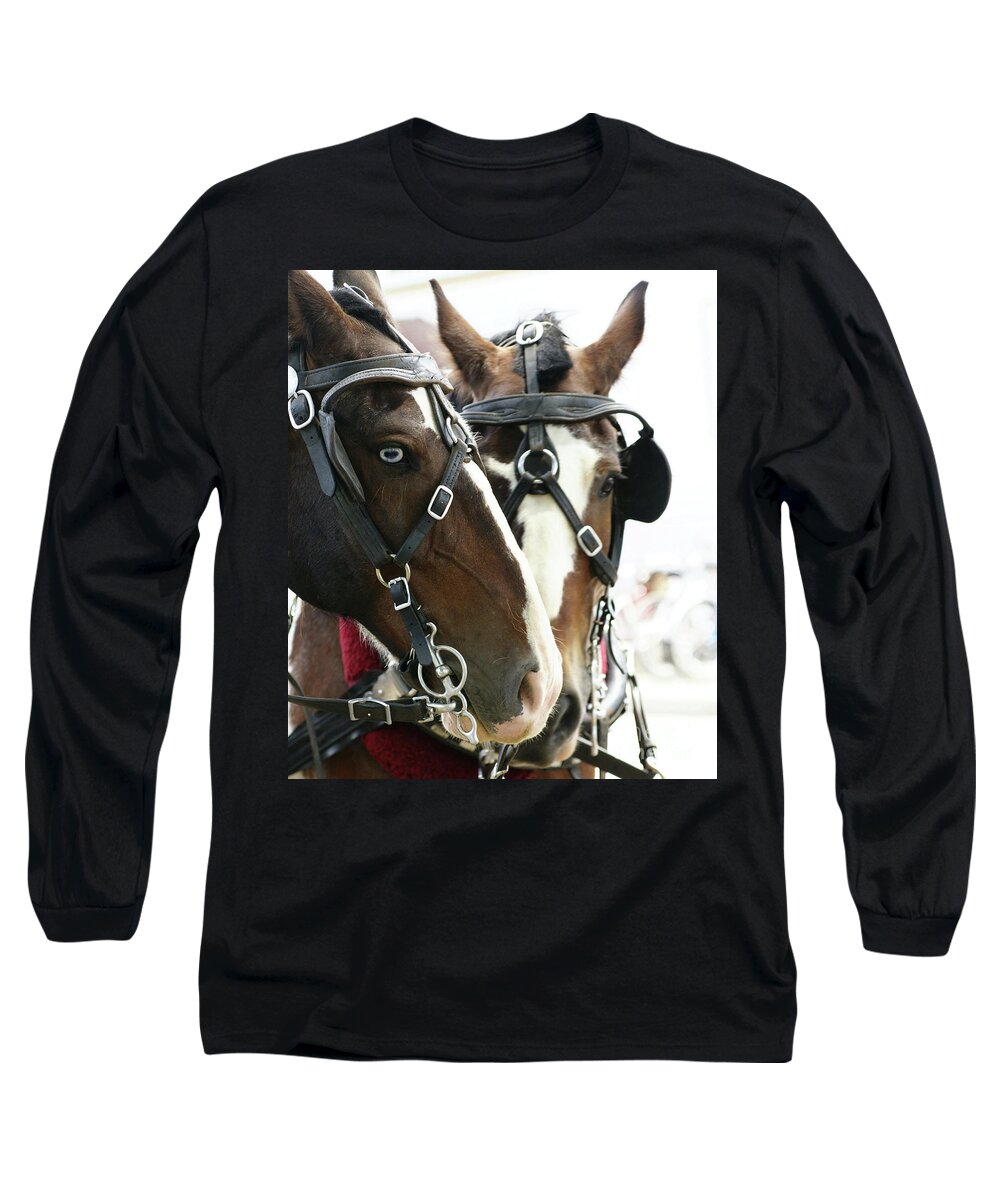 Carriage Long Sleeve T-Shirt featuring the photograph Carriage Horse - 4 by Linda Shafer