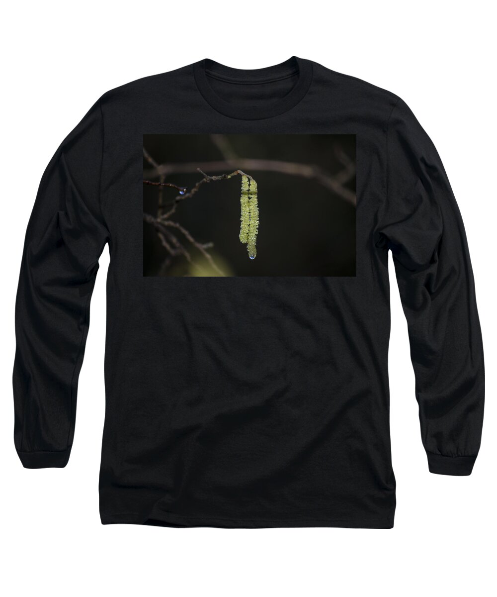 Spring Long Sleeve T-Shirt featuring the photograph Catkins Teardrop by Spikey Mouse Photography