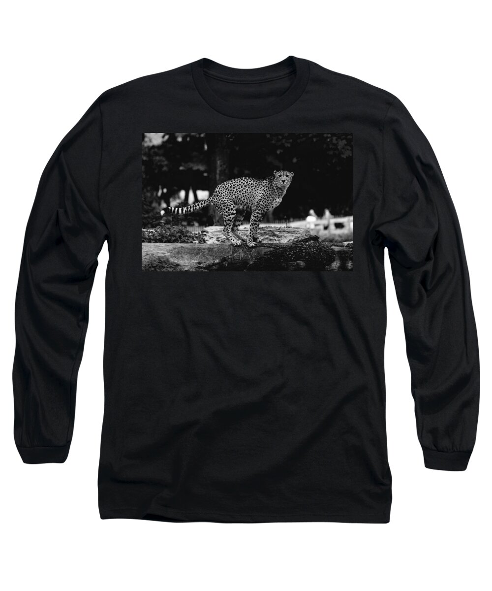 Black And White Long Sleeve T-Shirt featuring the photograph Cheetah On A Tree by Pati Photography