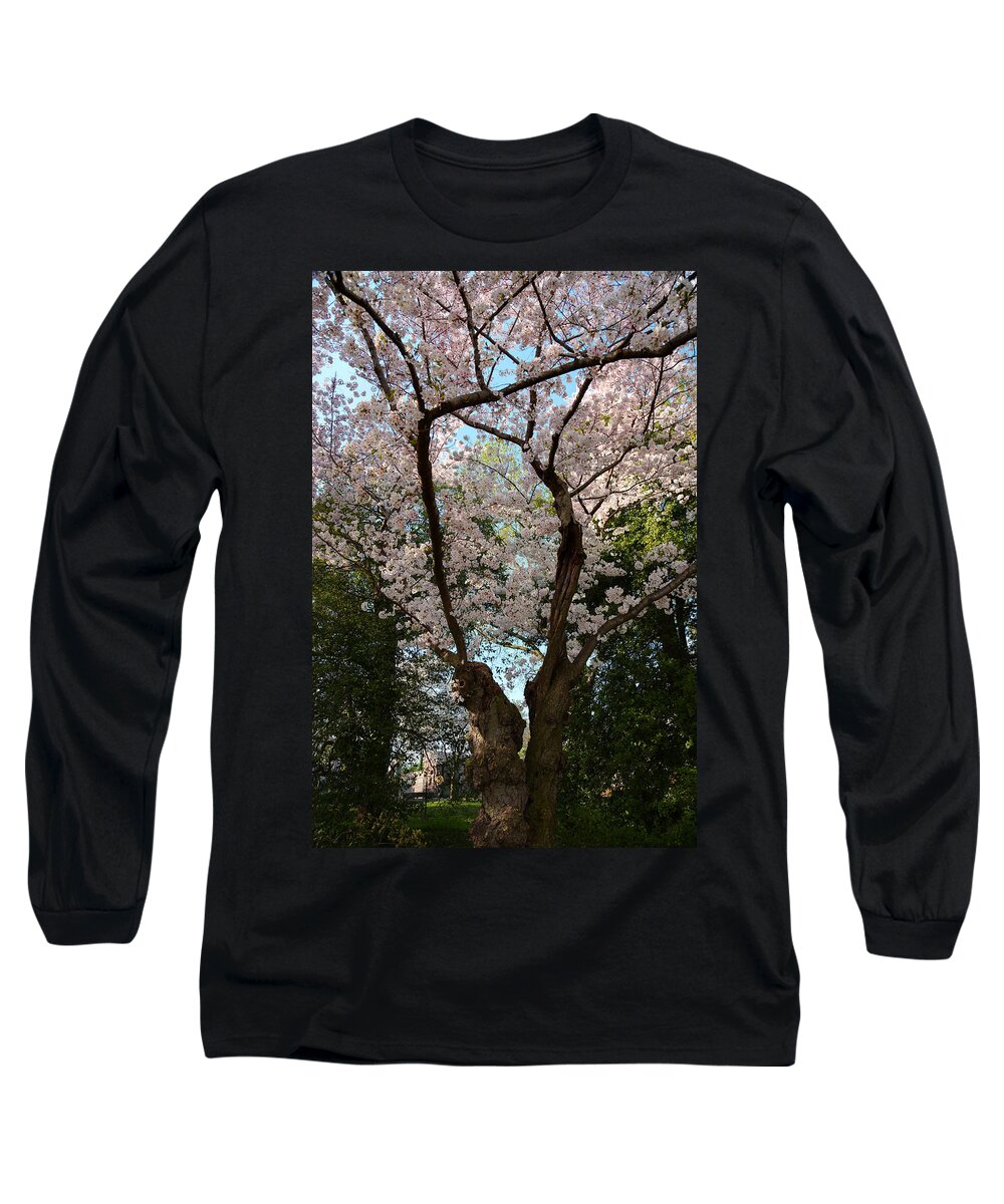 Architectural Long Sleeve T-Shirt featuring the photograph Cherry Blossoms 2013 - 056 by Metro DC Photography
