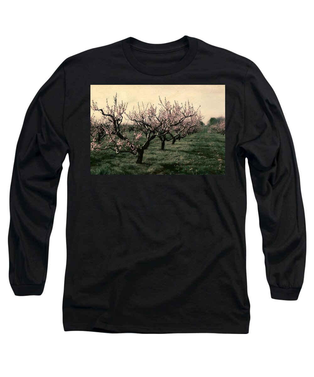 Cherries Long Sleeve T-Shirt featuring the photograph Cherry Trees 2.0 by Michelle Calkins