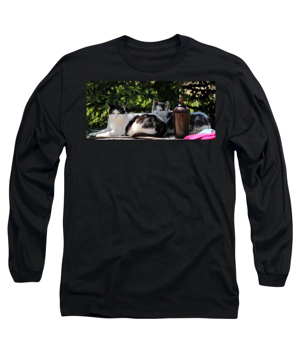 Cats Long Sleeve T-Shirt featuring the photograph Chillin' Brothers by Janice Byer