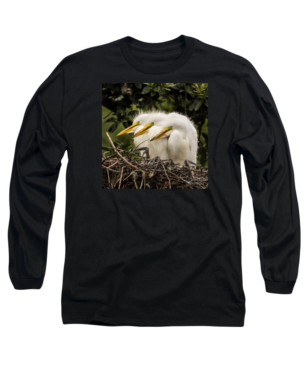 Egret Long Sleeve T-Shirt featuring the photograph Chow Line by Priscilla Burgers