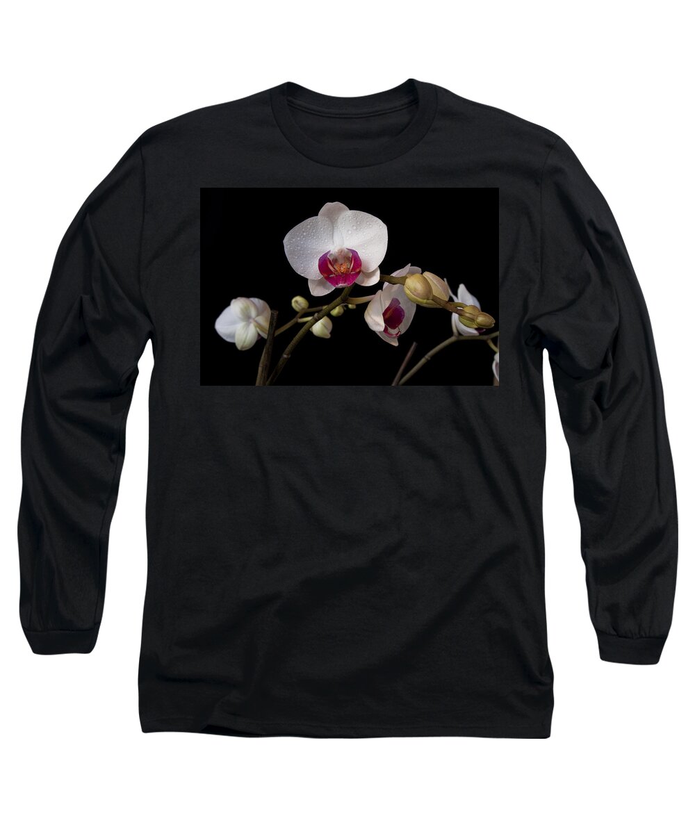 Moth Orchid Long Sleeve T-Shirt featuring the photograph Colorful Moth Orchid by Ron White