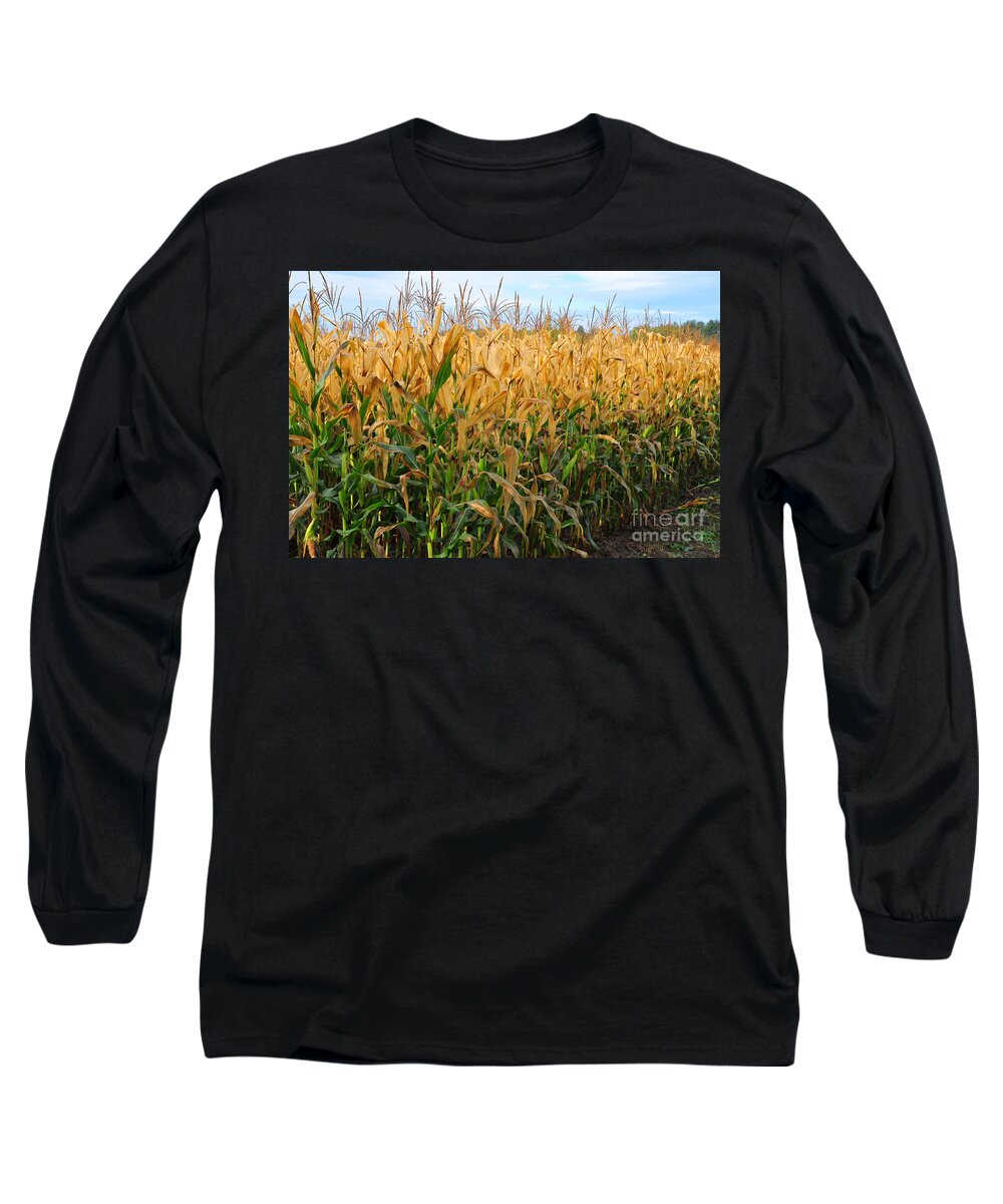 Farm Long Sleeve T-Shirt featuring the photograph Corn Harvest by Terri Gostola