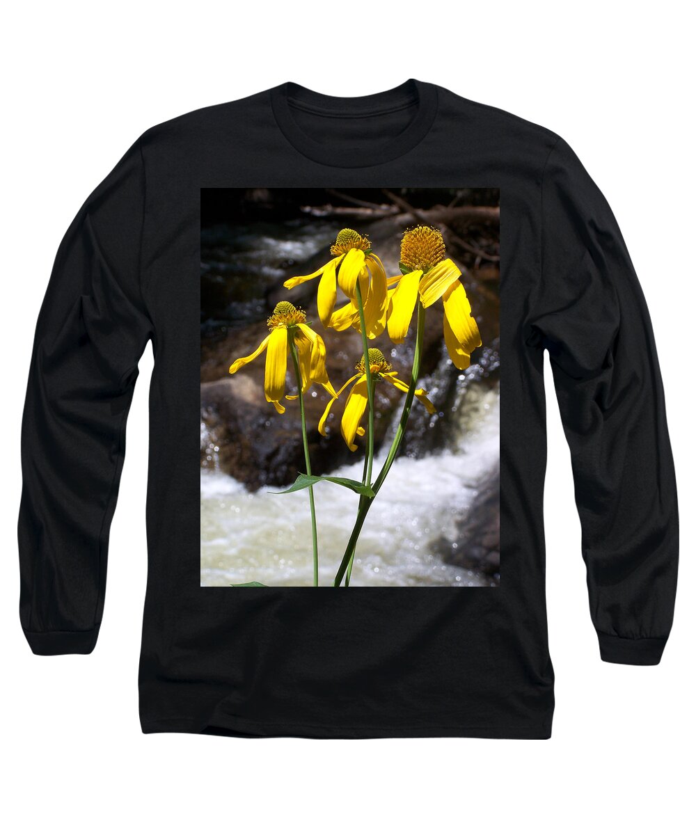 Yellow Long Sleeve T-Shirt featuring the photograph Daisies Near the Water by Jennifer Robin