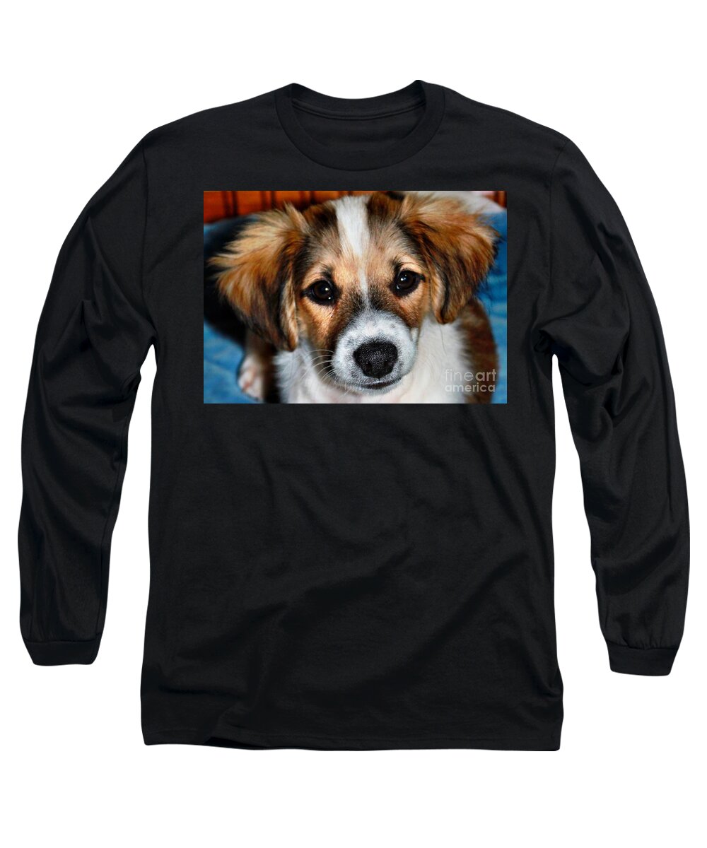 Dog Long Sleeve T-Shirt featuring the photograph Dakota by Judy Palkimas