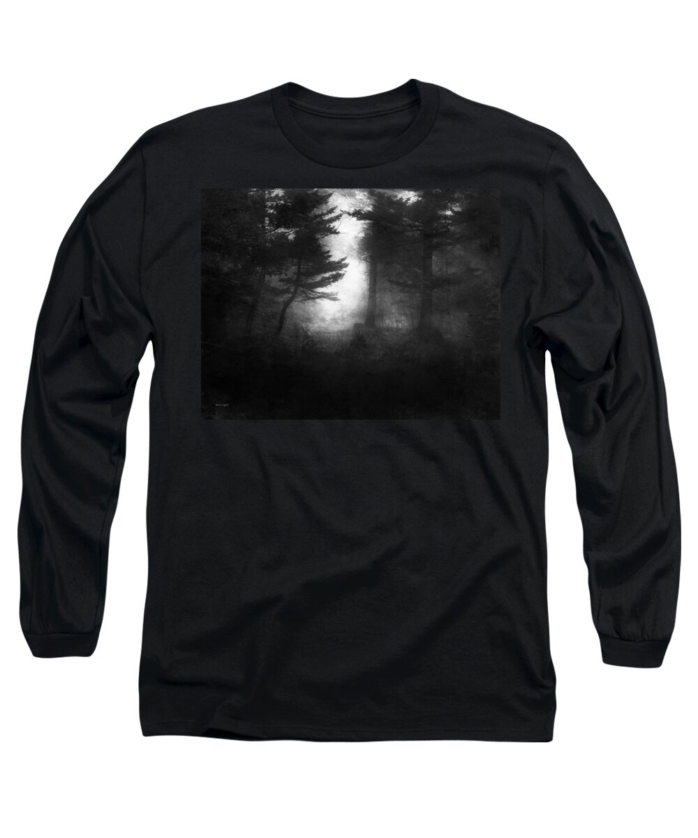 Rabbit Long Sleeve T-Shirt featuring the photograph Deep In The Dark Woods by Theresa Tahara