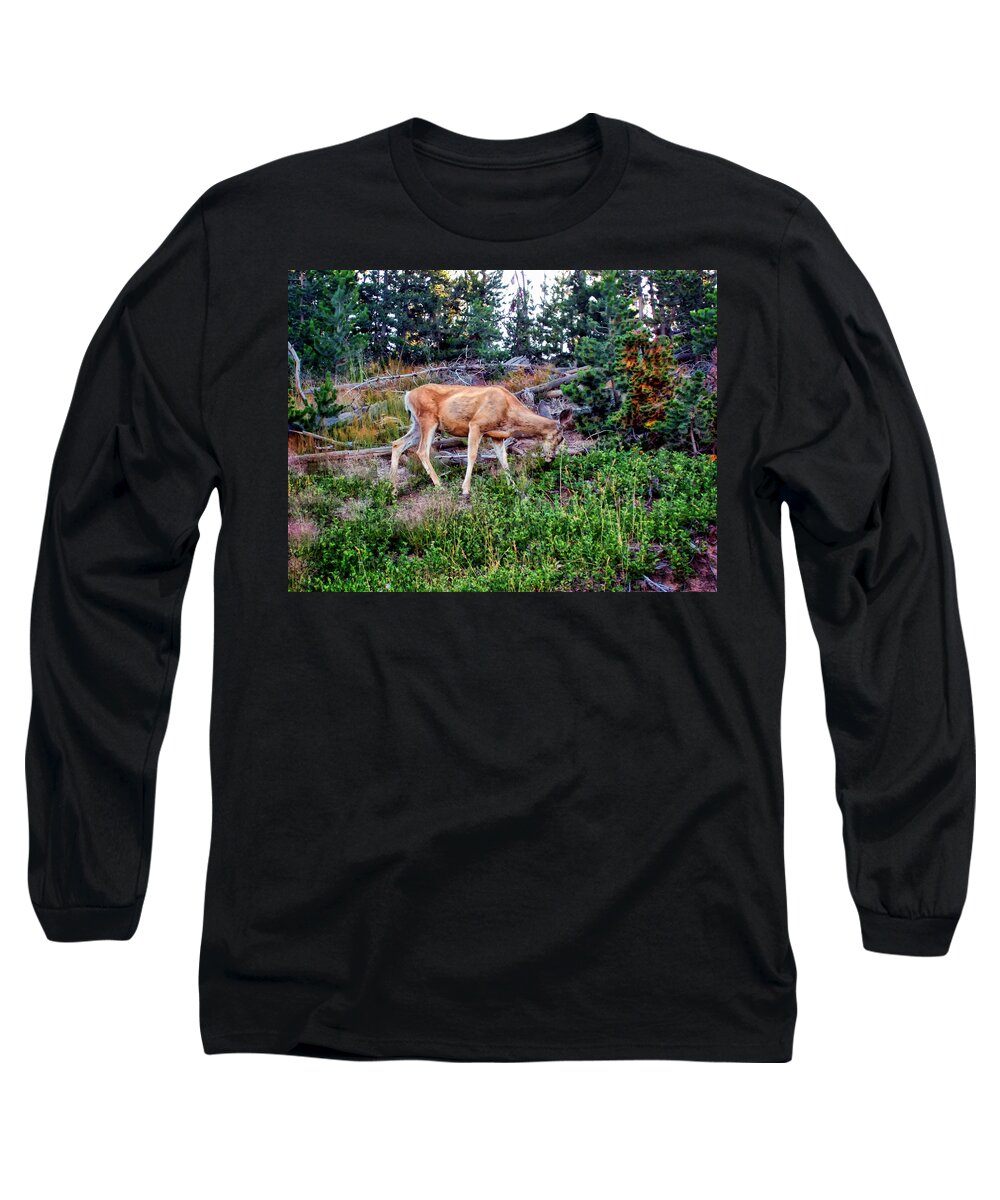 Deer Long Sleeve T-Shirt featuring the photograph Deer 1 by Dawn Eshelman
