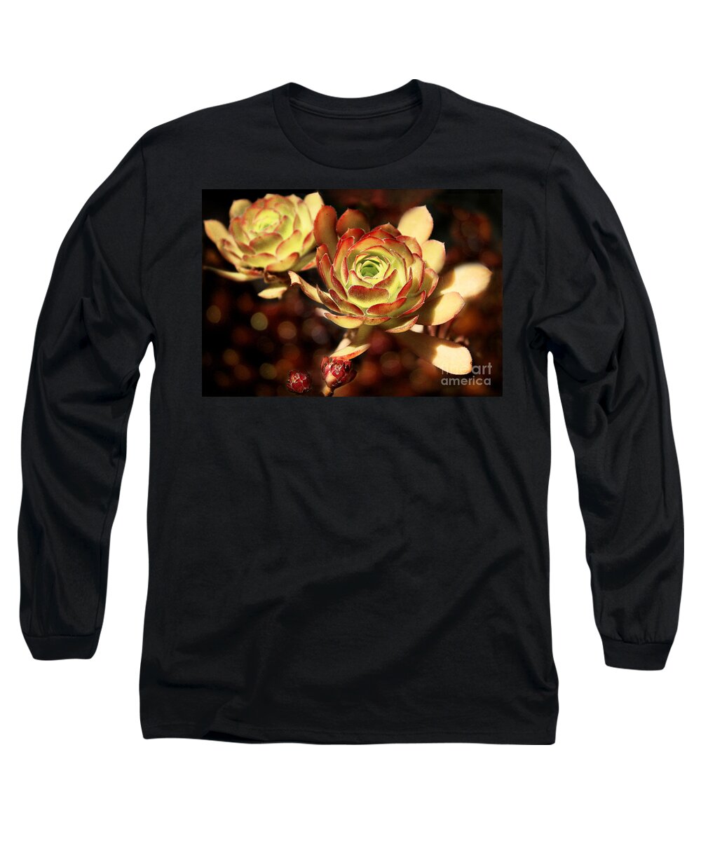 Plants Long Sleeve T-Shirt featuring the photograph Desert Roses by Ellen Cotton
