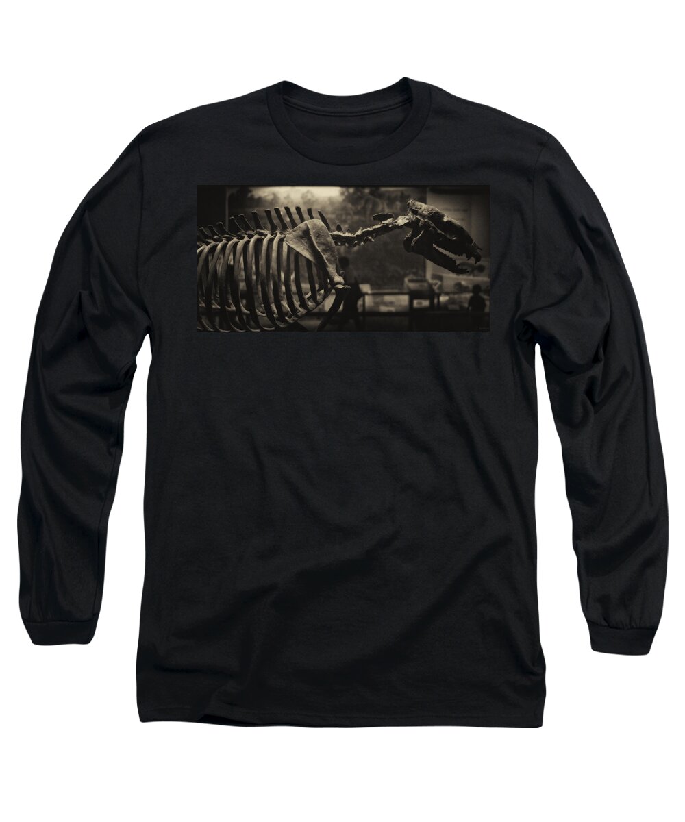 Paleontology Long Sleeve T-Shirt featuring the photograph Dinosaur Bones 2 by Joseph Hedaya