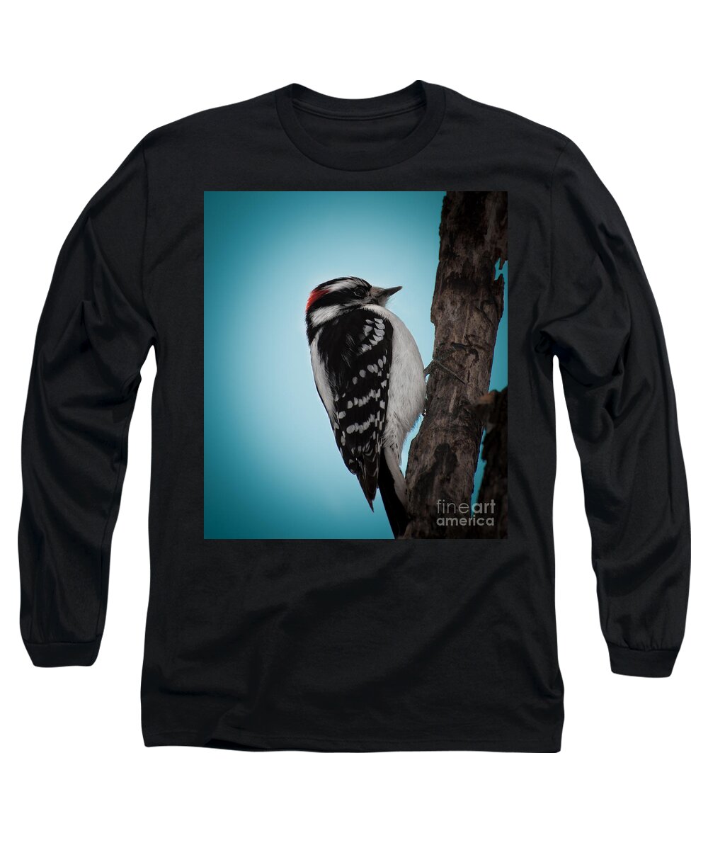 Downy Long Sleeve T-Shirt featuring the photograph Downy by Bianca Nadeau