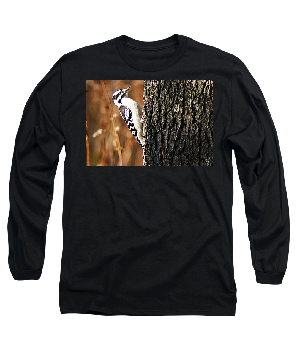 Woburn Long Sleeve T-Shirt featuring the photograph Downy Woodpecker by Joe Faherty