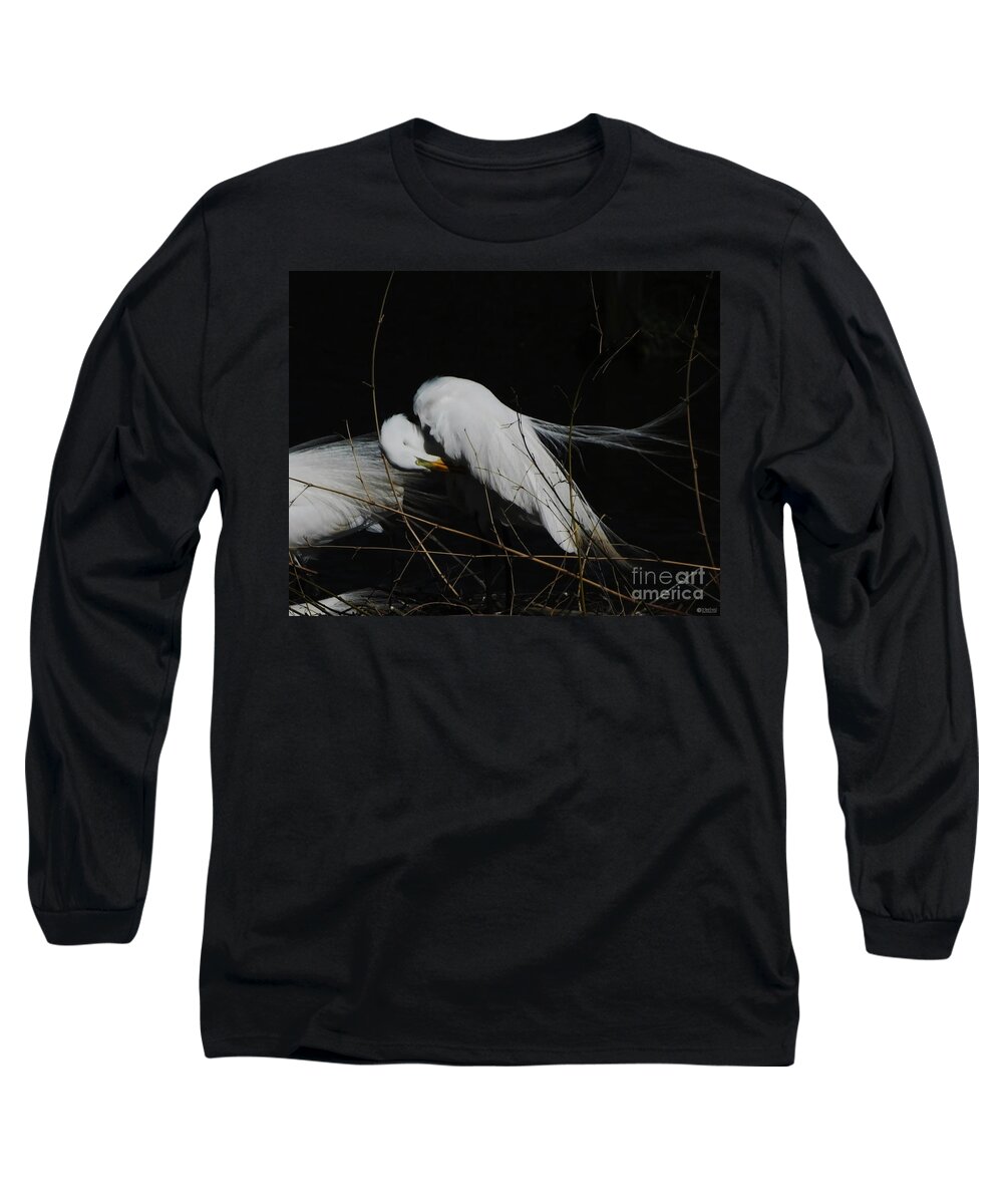 Egret Long Sleeve T-Shirt featuring the photograph Egret Bird City at Avery Island Louisiana by Lizi Beard-Ward