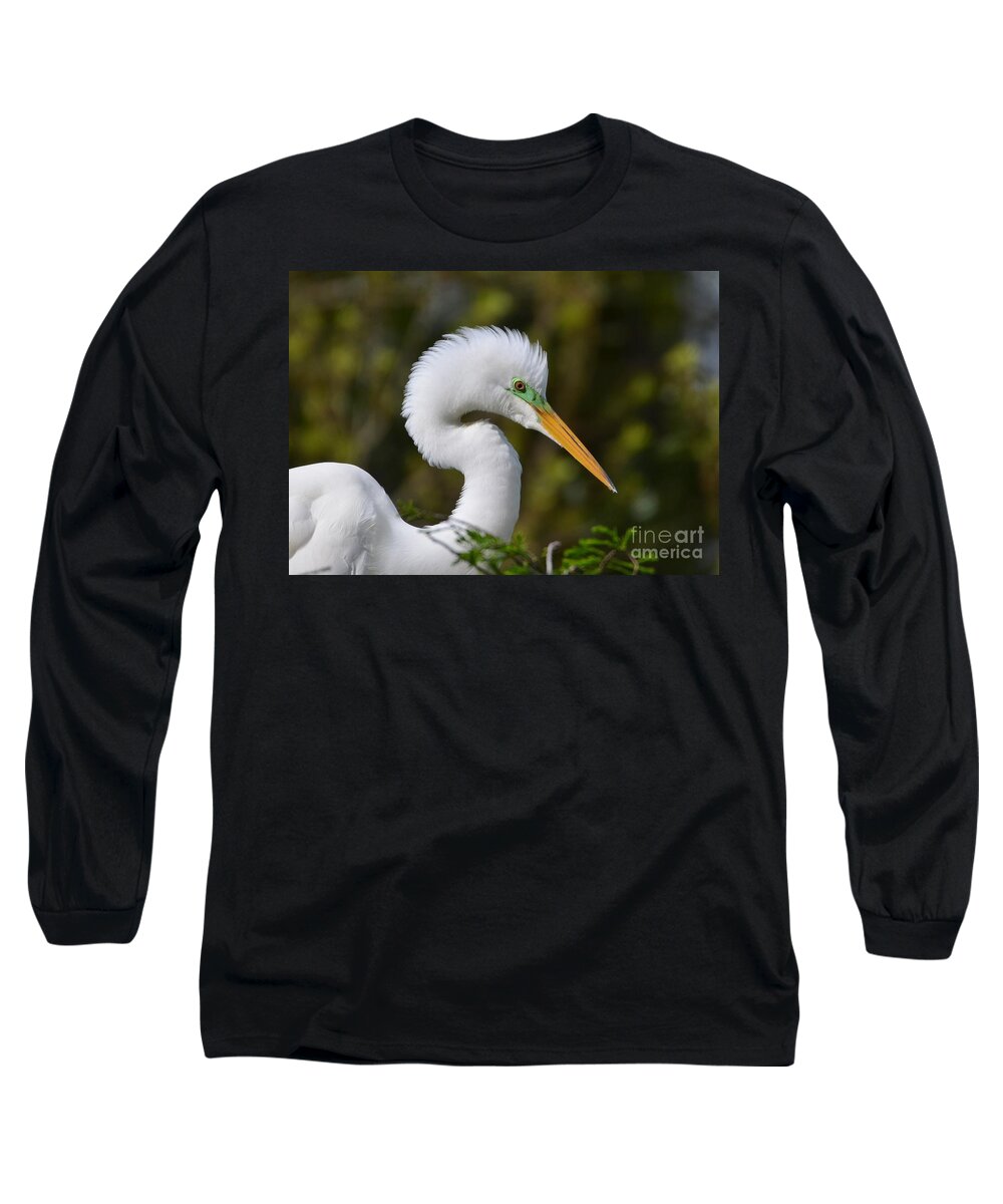 Egret Long Sleeve T-Shirt featuring the photograph Egret Face Portrait by Kathy Baccari