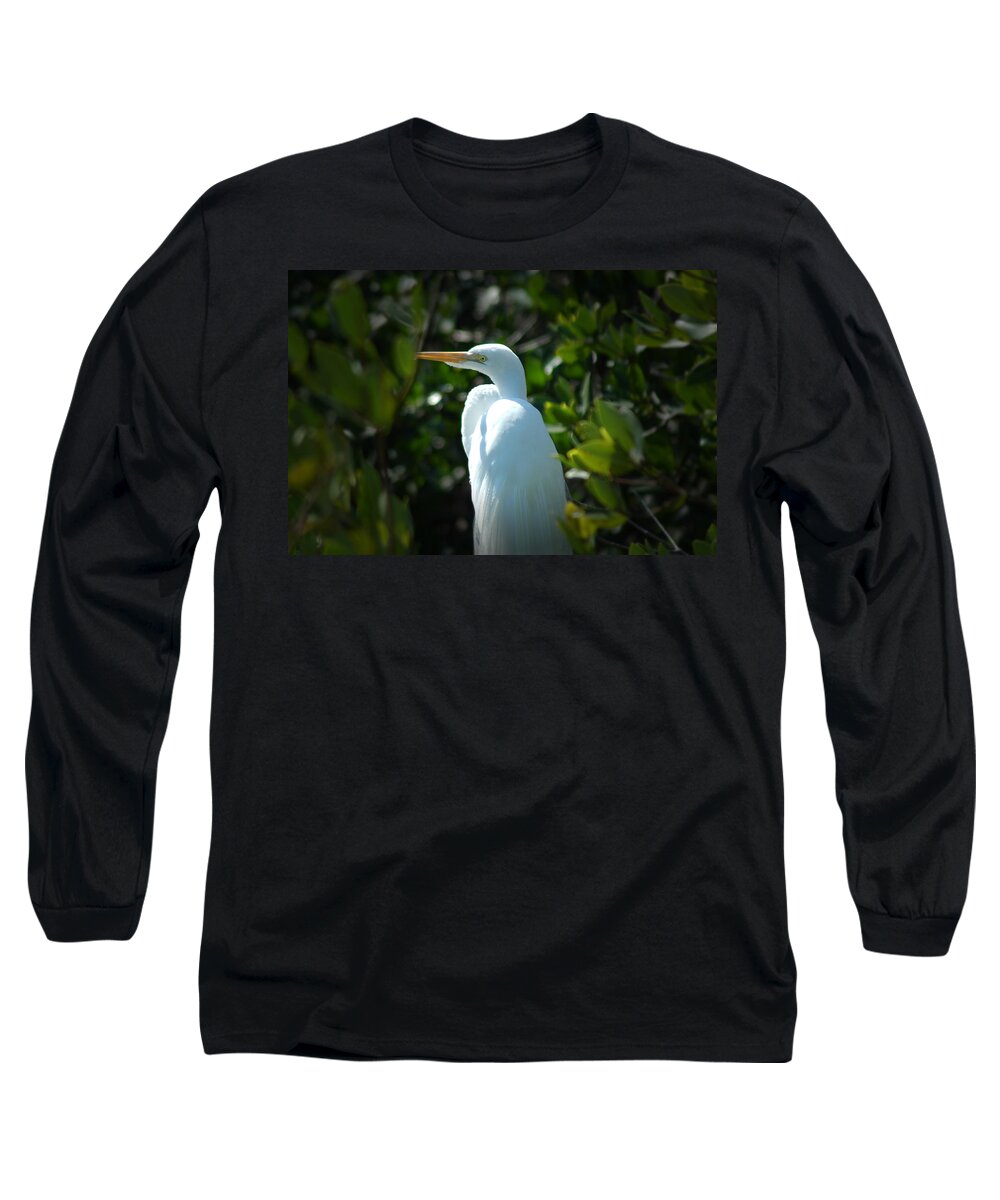 Egret Long Sleeve T-Shirt featuring the photograph Egret Of Sanibel 9 by David Weeks