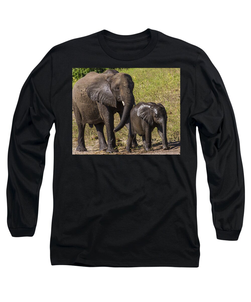 Elephant Long Sleeve T-Shirt featuring the photograph Elephant Mom and Baby by Suanne Forster