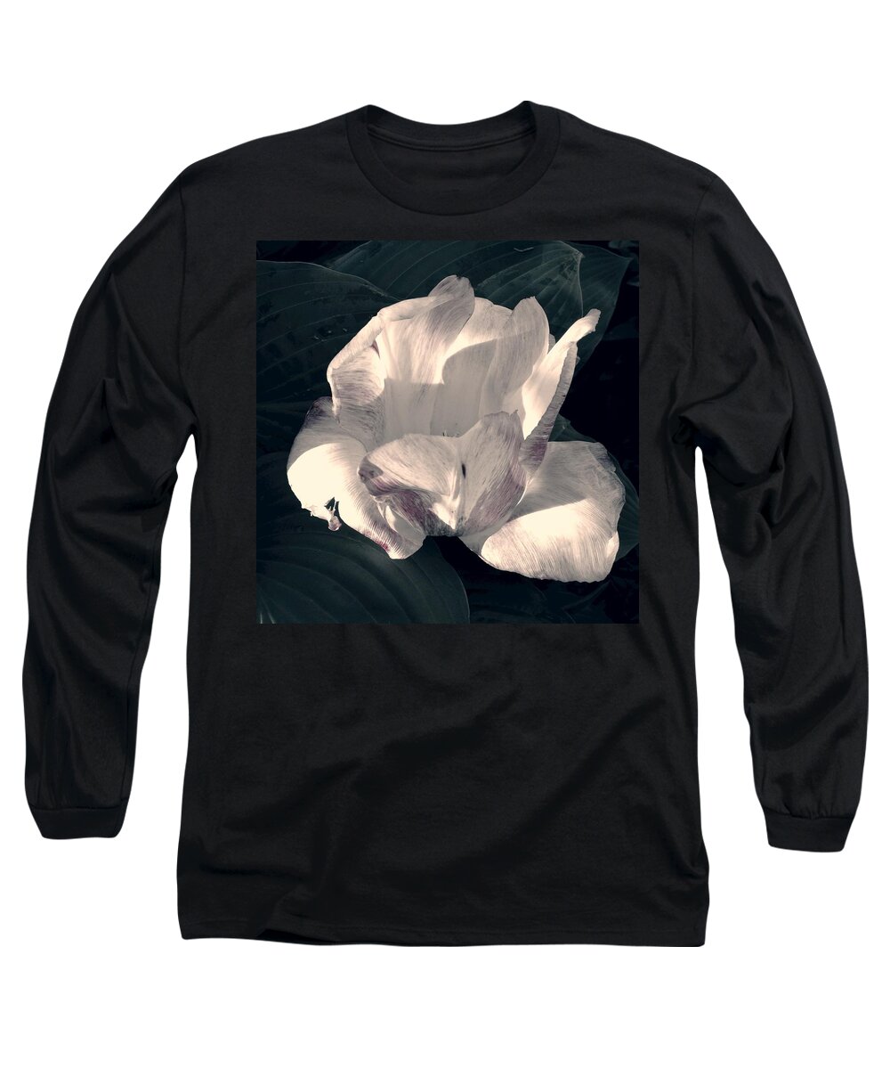 Tulip Long Sleeve T-Shirt featuring the photograph Faded Beauty by Photographic Arts And Design Studio