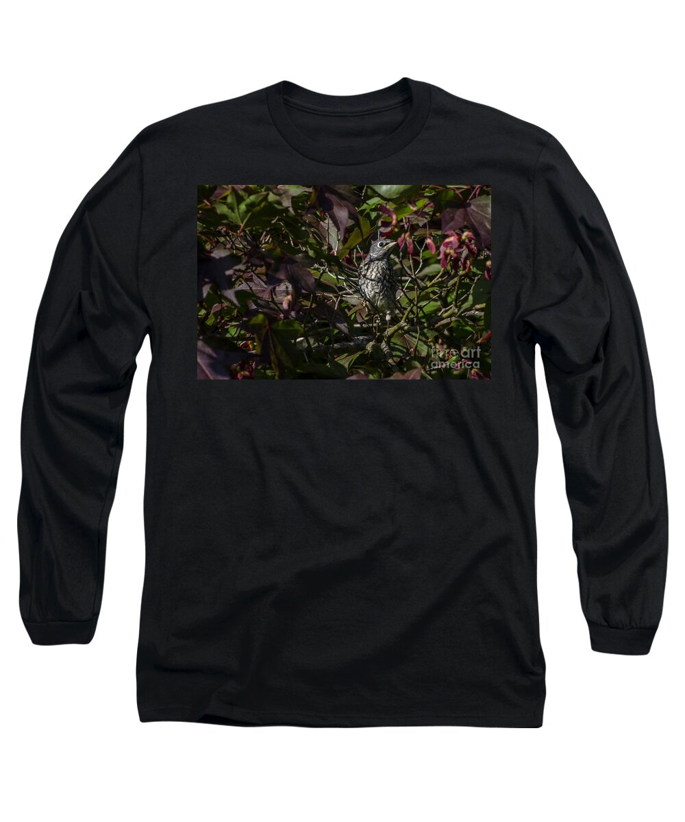 First Flight Long Sleeve T-Shirt featuring the photograph First Flight by Judy Wolinsky