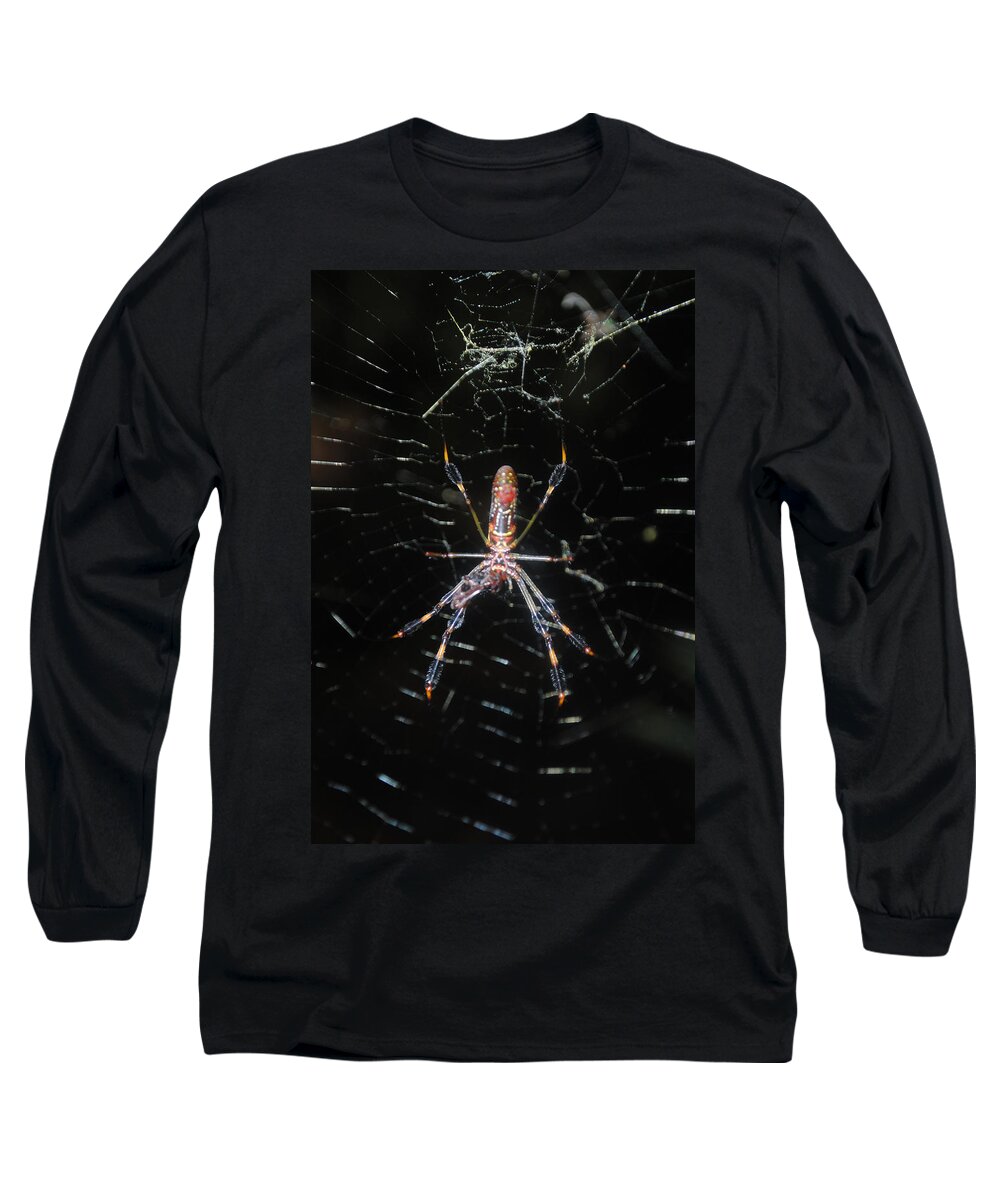 Araneae Long Sleeve T-Shirt featuring the photograph Insect Me Closely by George D Gordon III