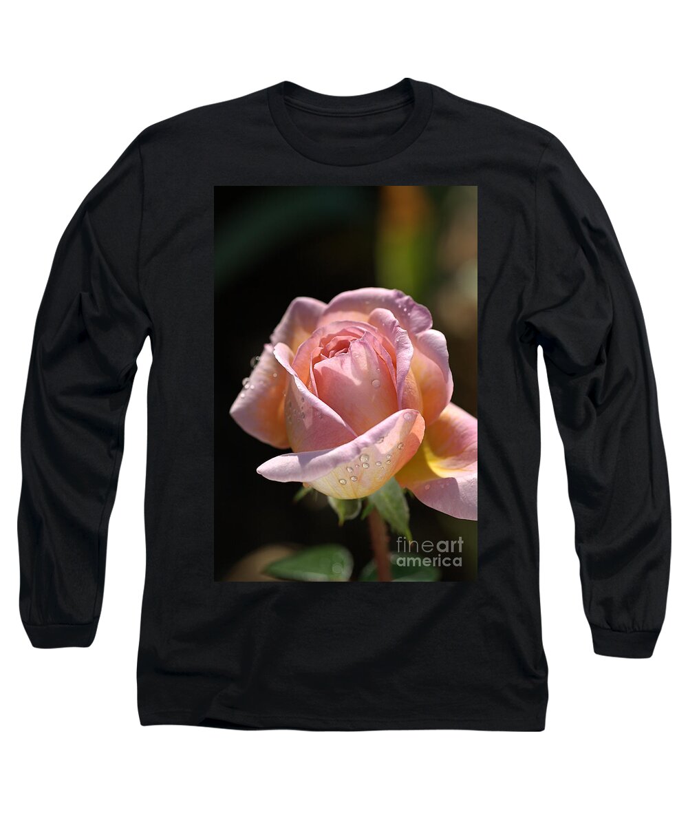 Abraham Darby Rose Flower Long Sleeve T-Shirt featuring the photograph Flower-pink And Yellow Rose-bud by Joy Watson