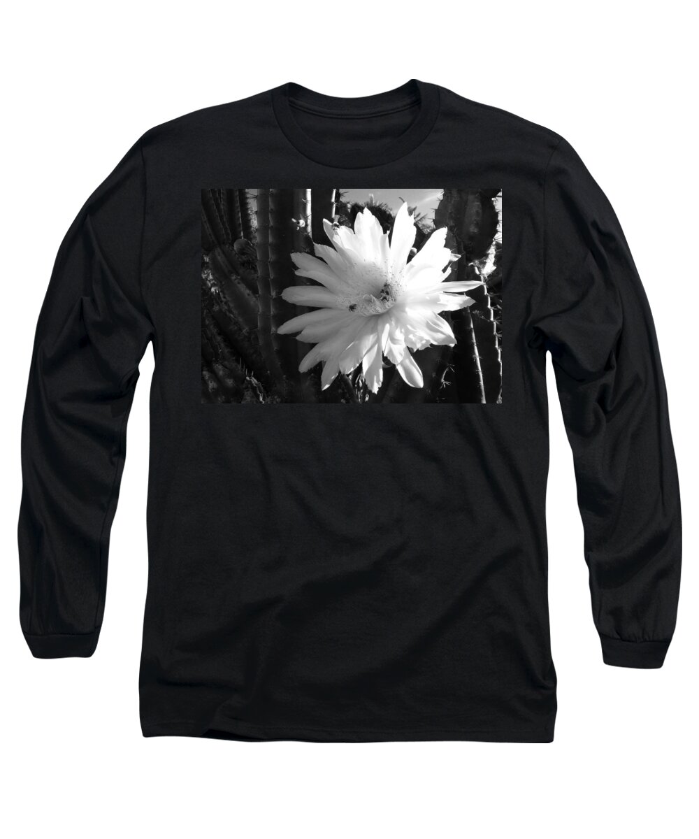 Cactus Long Sleeve T-Shirt featuring the photograph Flowering Cactus 1 BW by Mariusz Kula