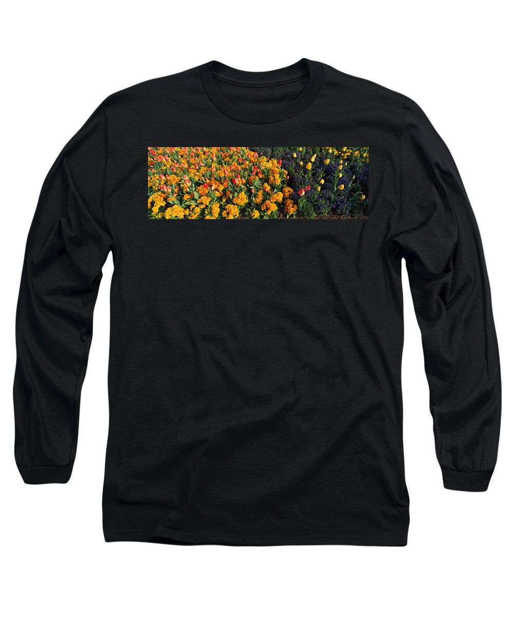 Photography Long Sleeve T-Shirt featuring the photograph Flowers In Hyde Park, City by Panoramic Images