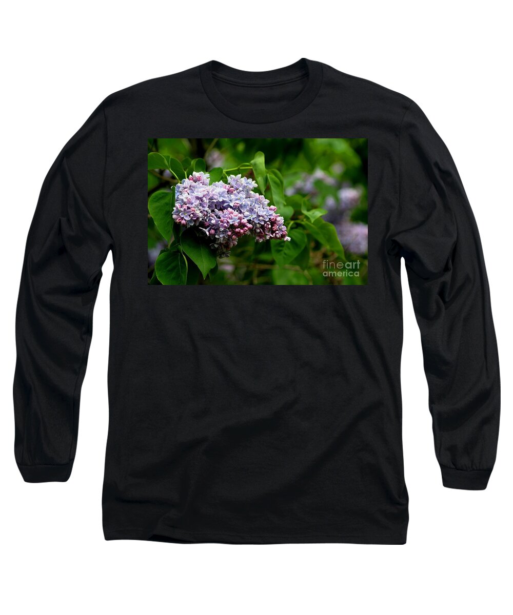 Lilac Long Sleeve T-Shirt featuring the photograph For The Love Of Lilac by Living Color Photography Lorraine Lynch