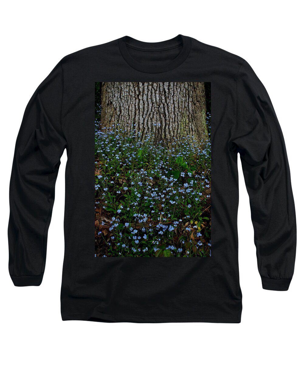 Forget-me-not Blossoms Long Sleeve T-Shirt featuring the photograph Forget-Me-Not by Randy Pollard