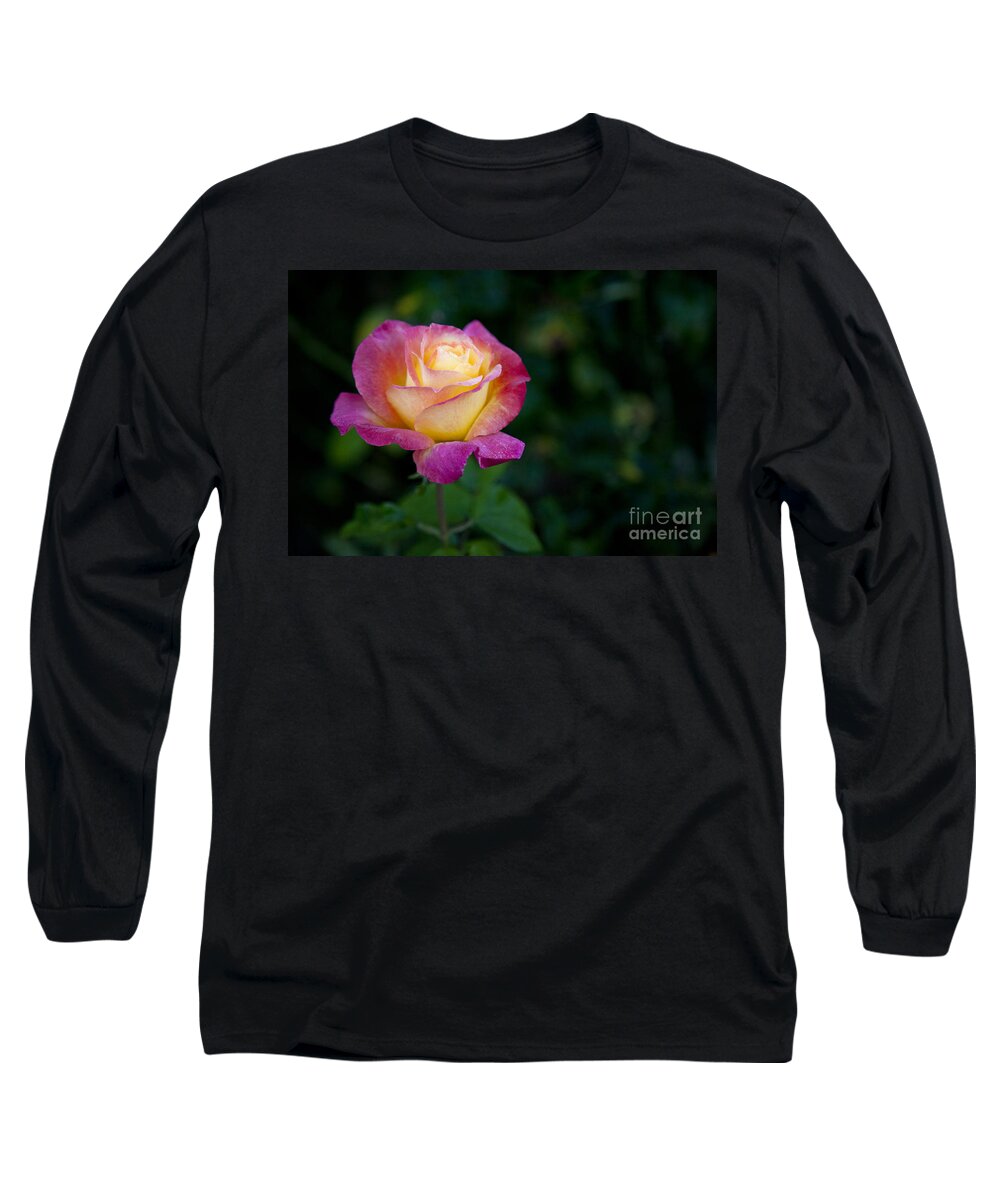 Affection Long Sleeve T-Shirt featuring the photograph Garden Tea Rose by David Millenheft