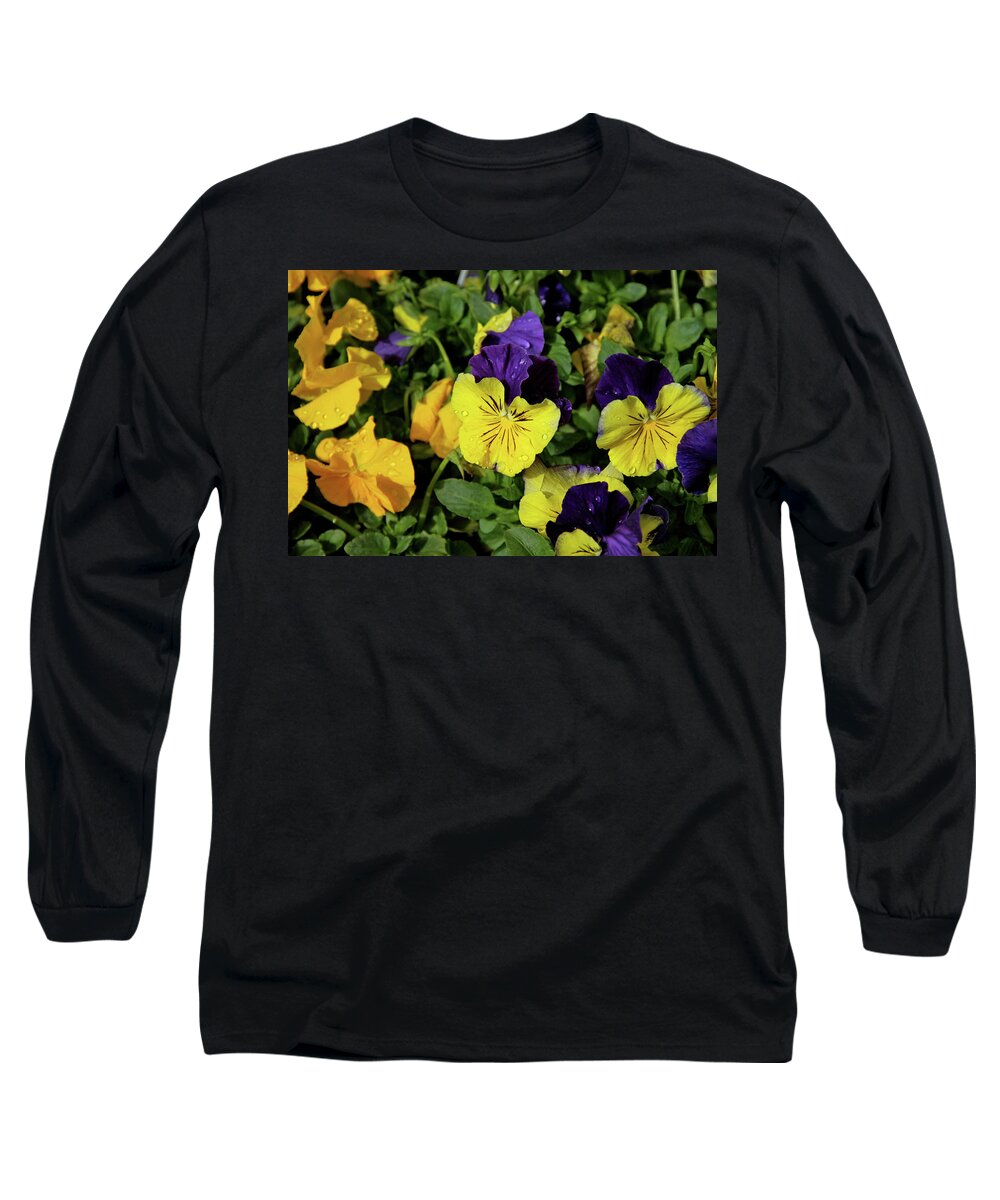Giant Garden Pansies Long Sleeve T-Shirt featuring the photograph Giant Garden Pansies by Ed Riche