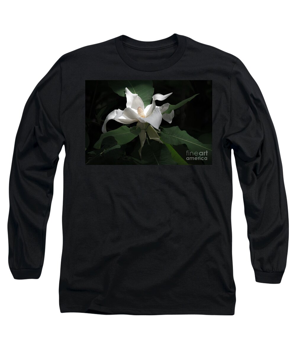 White Long Sleeve T-Shirt featuring the photograph Giant Magnolia by Angela DeFrias
