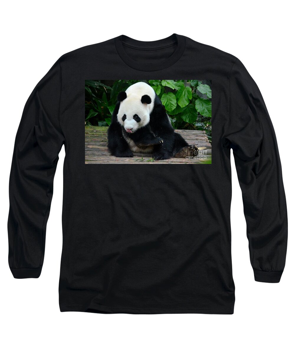 Panda. Bear Long Sleeve T-Shirt featuring the photograph Giant Panda with tongue touching nose at River Safari Zoo Singapore by Imran Ahmed