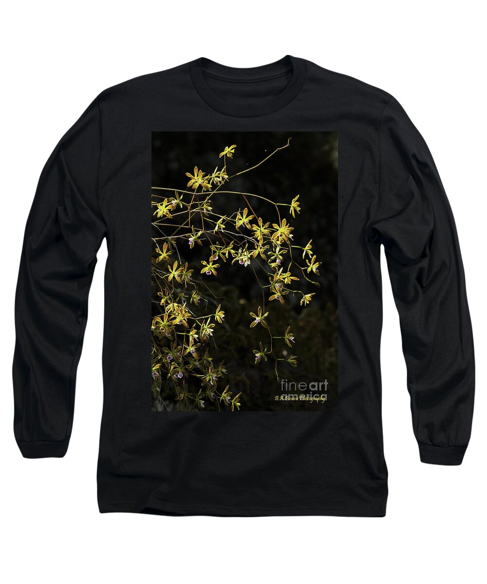 Butterfly Orchids Long Sleeve T-Shirt featuring the photograph Glowing Orchids by Barbara Bowen