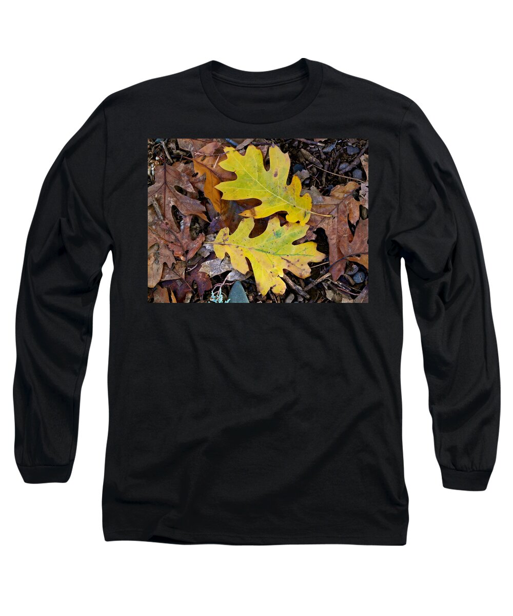 California Black Oak Long Sleeve T-Shirt featuring the photograph Golden Oak Leaf Duet by Michele Myers