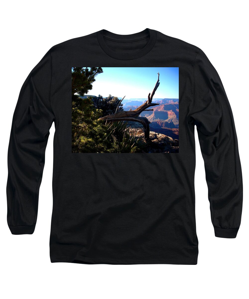 Tree Long Sleeve T-Shirt featuring the photograph Grand Canyon Dead Tree by Matt Quest