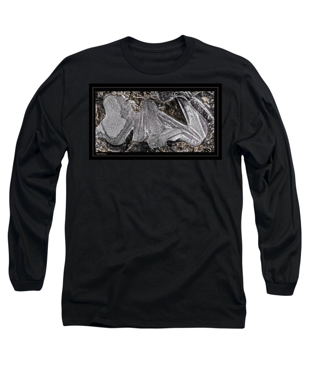 Ice Long Sleeve T-Shirt featuring the photograph Graphic Ice by Lucy VanSwearingen