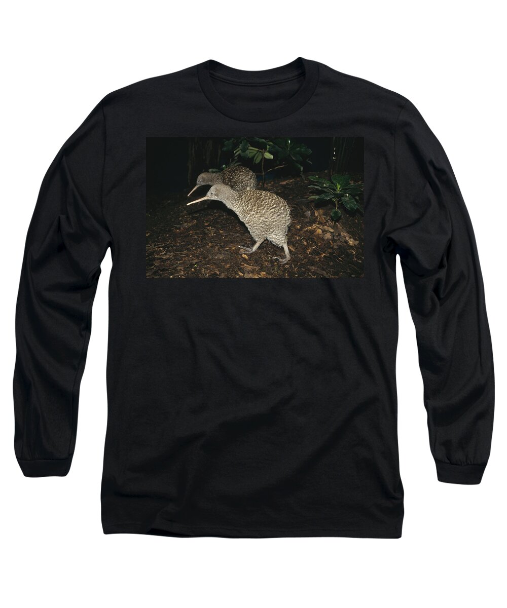 Feb0514 Long Sleeve T-Shirt featuring the photograph Great Spotted Kiwi Breeding Pair New by Tui De Roy