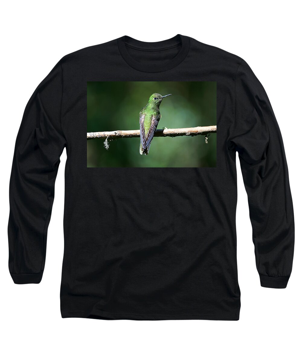 Hummingbird Long Sleeve T-Shirt featuring the photograph Green Glow by Blair Wainman