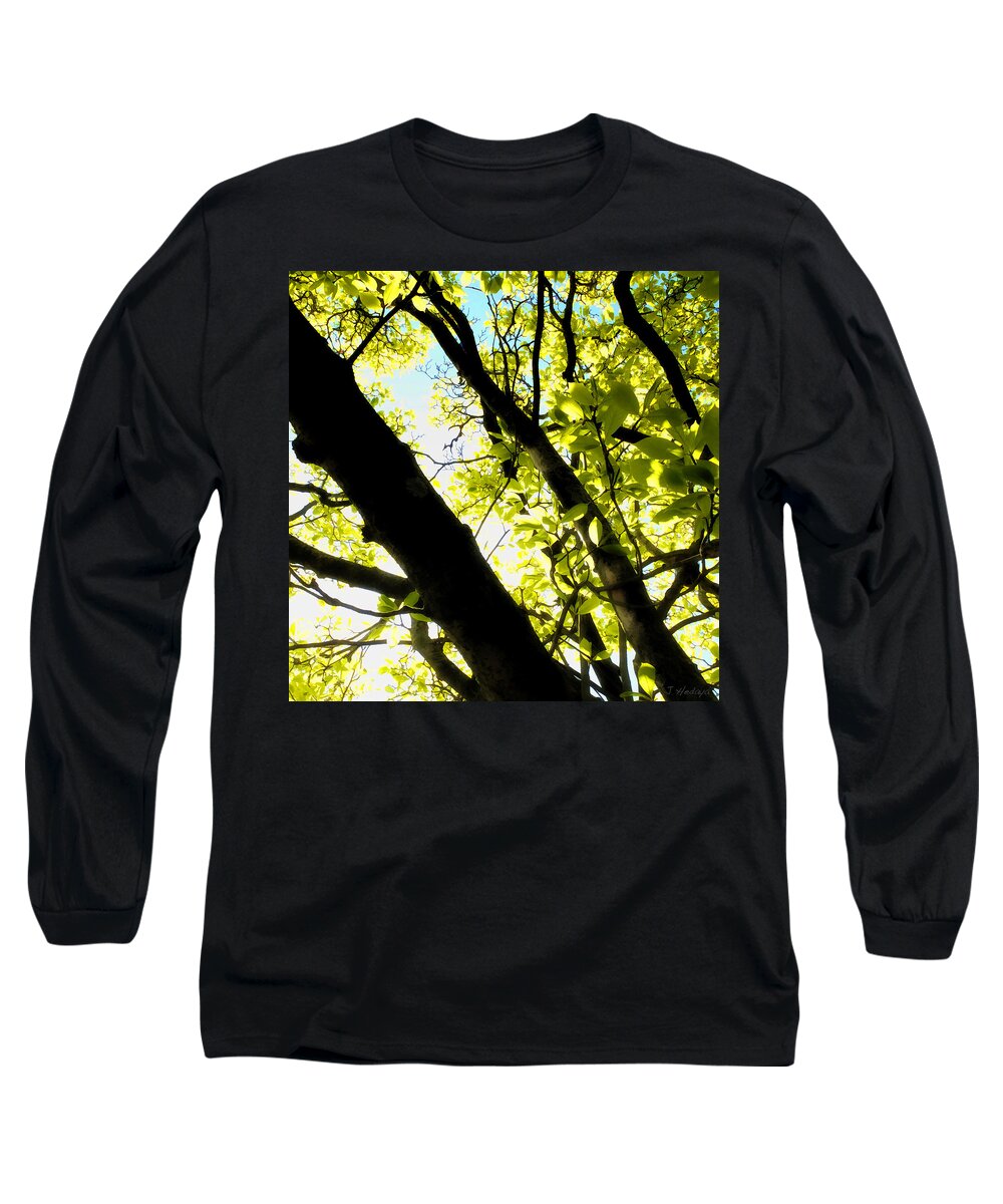 Nature Long Sleeve T-Shirt featuring the photograph Green Leaf Glow by Joseph Hedaya