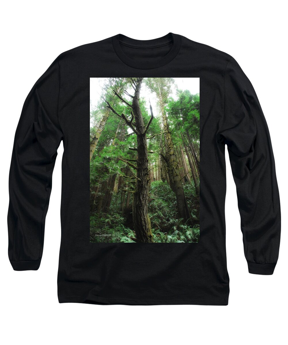 Mendocino County Long Sleeve T-Shirt featuring the photograph Groovin With The Redwoods by Donna Blackhall