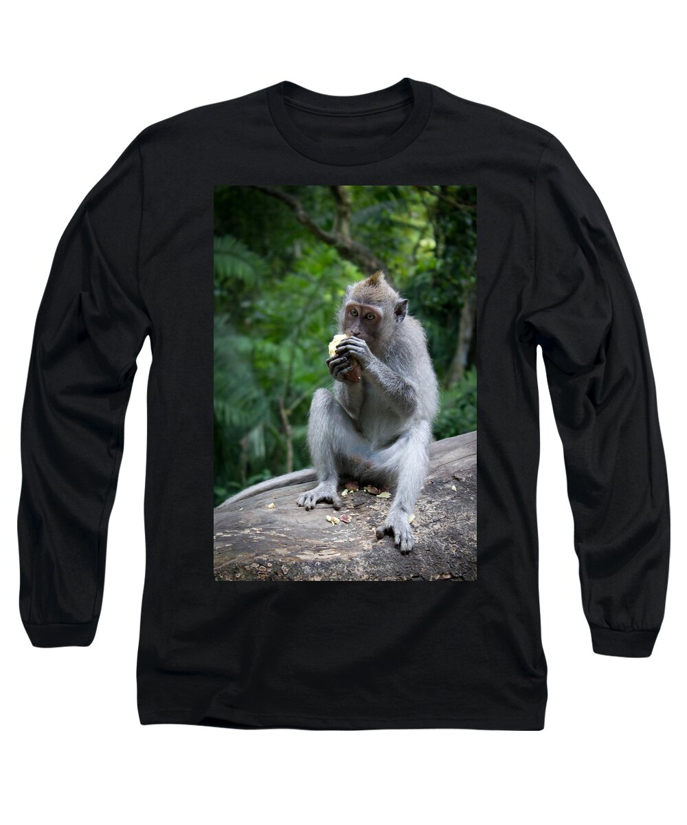 Animal Long Sleeve T-Shirt featuring the photograph Having A Little Lunch by Christie Kowalski