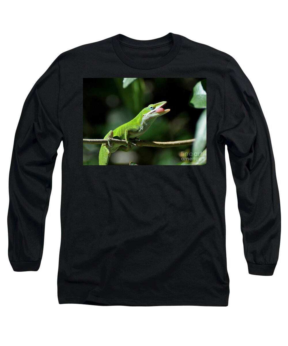 Lizard Long Sleeve T-Shirt featuring the photograph Here's What I Think Of You Human by Kathy Baccari