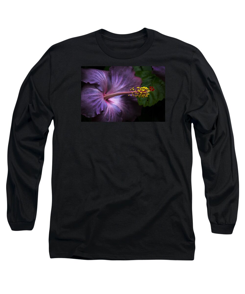 Bloom Long Sleeve T-Shirt featuring the photograph Hibiscus Bloom in Lavender by Julie Palencia