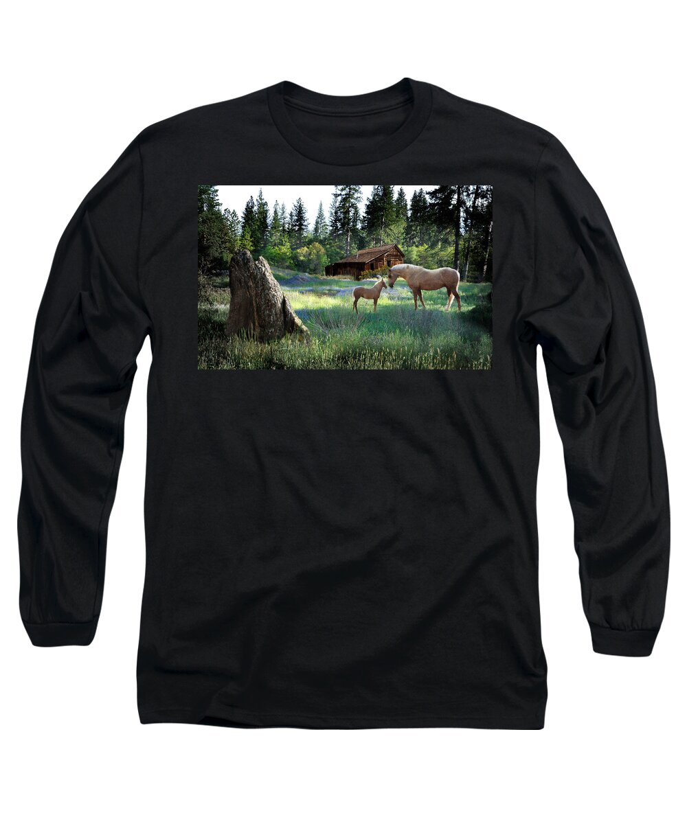 Palominos Long Sleeve T-Shirt featuring the photograph Home Sweet Home by Melinda Hughes-Berland
