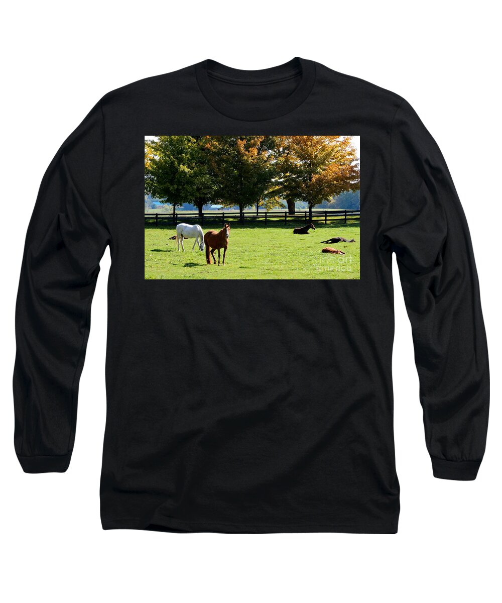 Horse Long Sleeve T-Shirt featuring the photograph Horses in Fall by Janice Byer