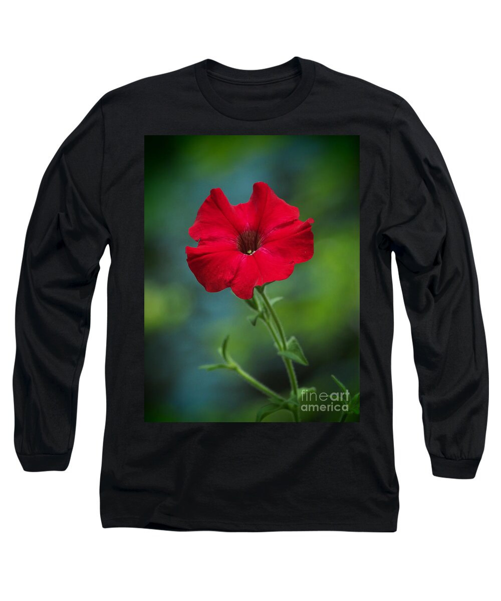 Flowers Long Sleeve T-Shirt featuring the photograph Hot Petunia In The Cool Shadows by Dorothy Lee