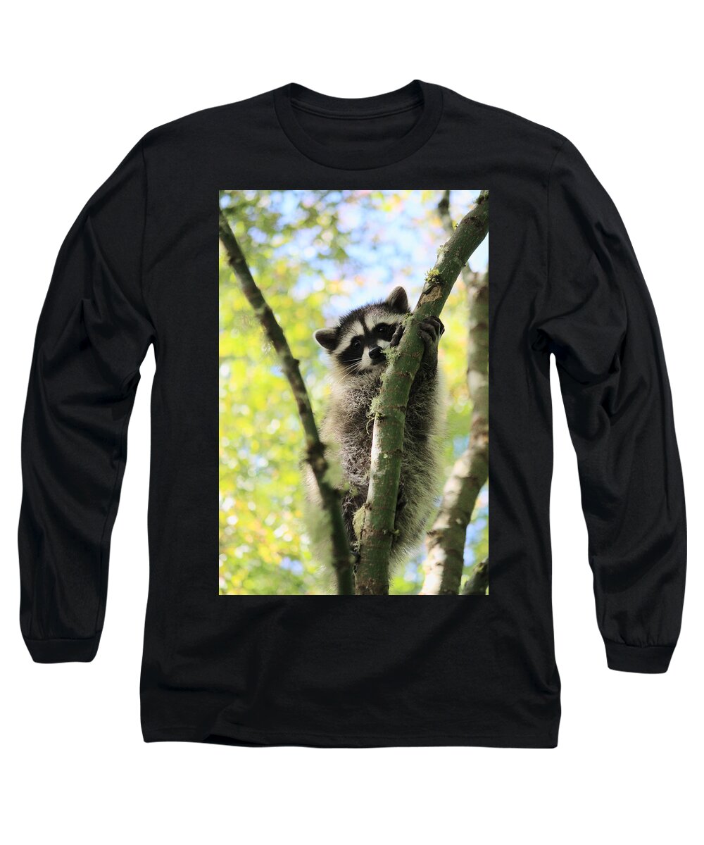Mammals Long Sleeve T-Shirt featuring the photograph I Don't Want to Come Down by Kym Backland